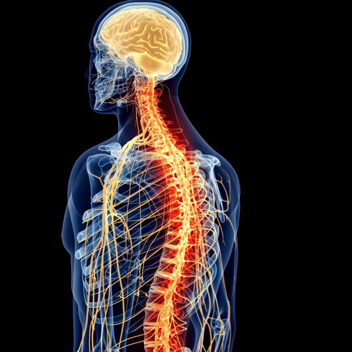 Neurochirurgie